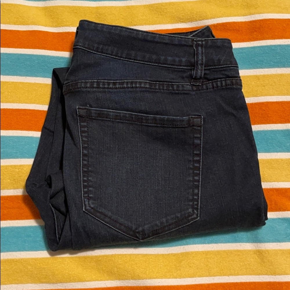 Venezia (Lane Bryant) Dark Wash Skinny Jeans (14)